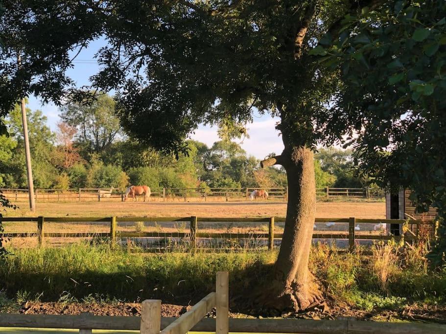 Spacious In Idyllic Spot